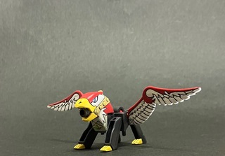 IMG_3702.jpeg